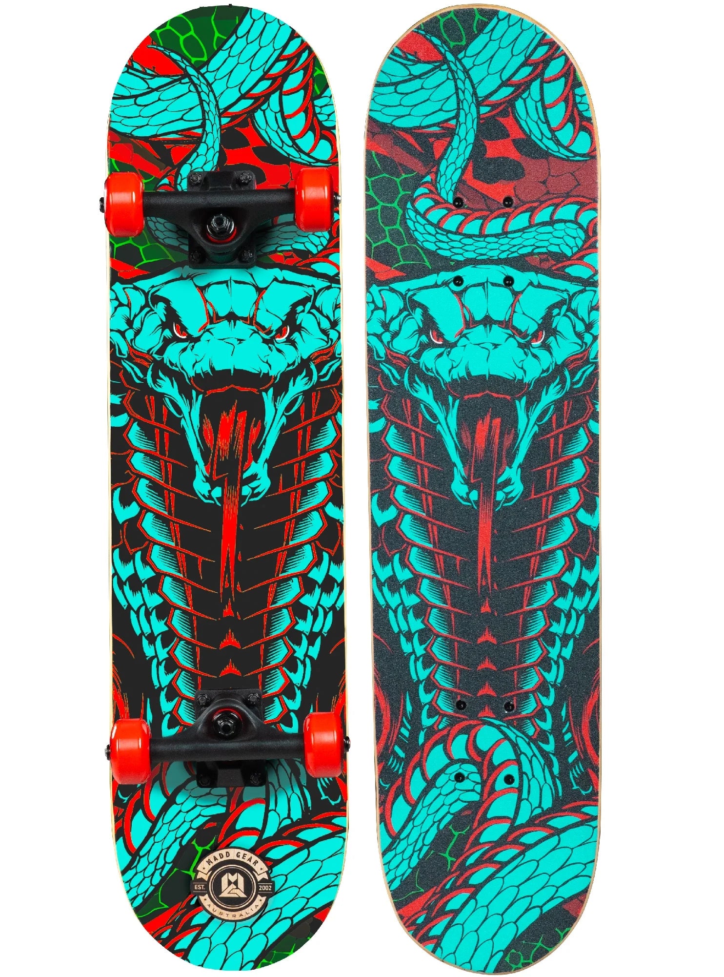 Beginner Skateboard for Kids and Teens – 31" Maple Deck – ABEC-5 Bearings – Easy to Ride –  LTR