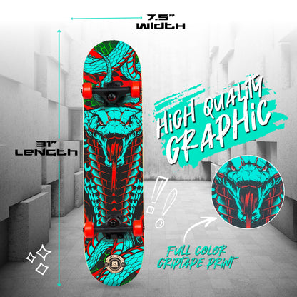 Beginner Skateboard for Kids and Teens – 31" Maple Deck – ABEC-5 Bearings – Easy to Ride –  LTR