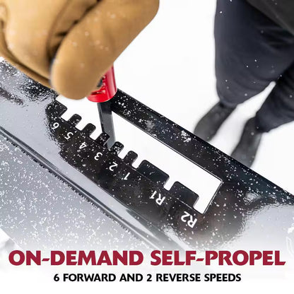 Flurry XL 24 In. 208 CC Self Propelled 2-Stage Gas Snow Blower with Electric Start